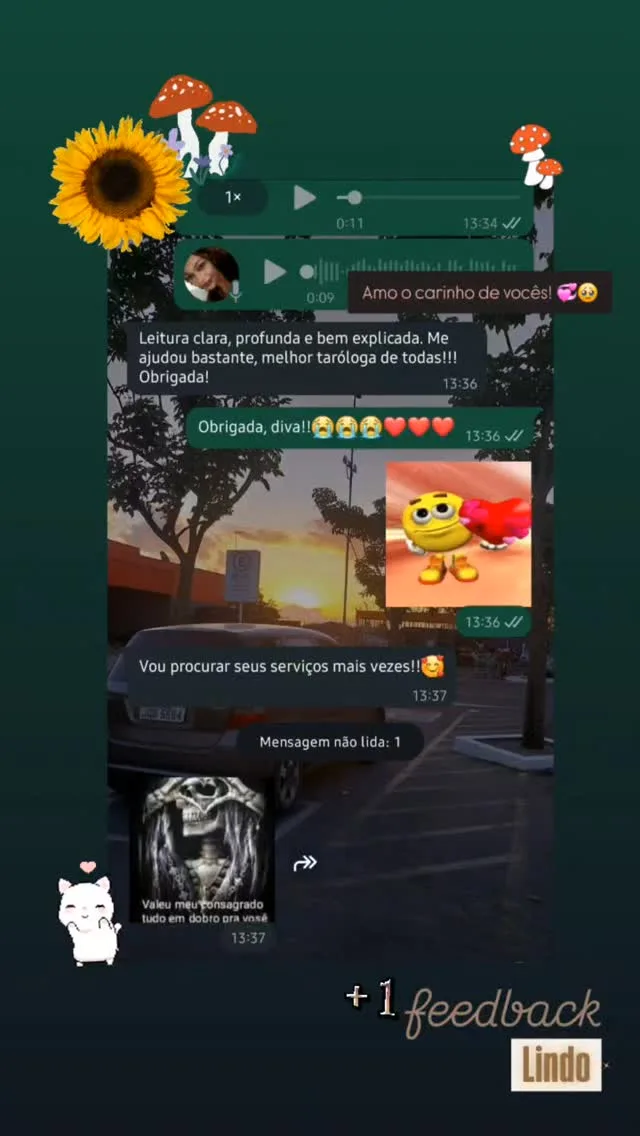 Captura de uma consulente elogiando a clareza da leitura