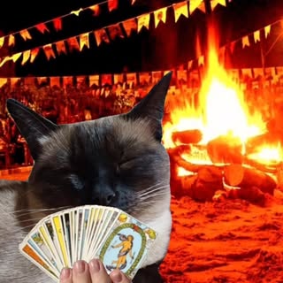 Gato com cartas de tarot